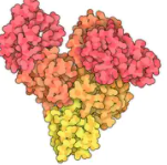 Sigma 牛血清白蛋白 BSA  Cat#A7906  現(xiàn)貨