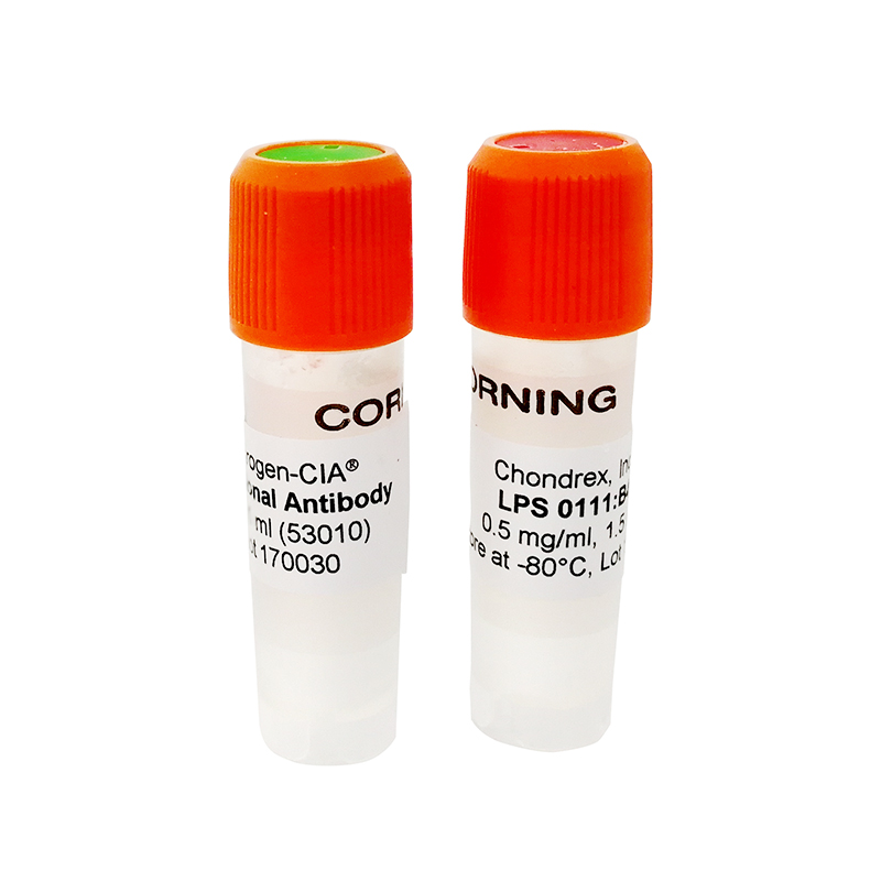 Arthrogen-CIA 5-Clone Cocktail Kit - 10mg  五克隆合劑  CAIA 模型誘導