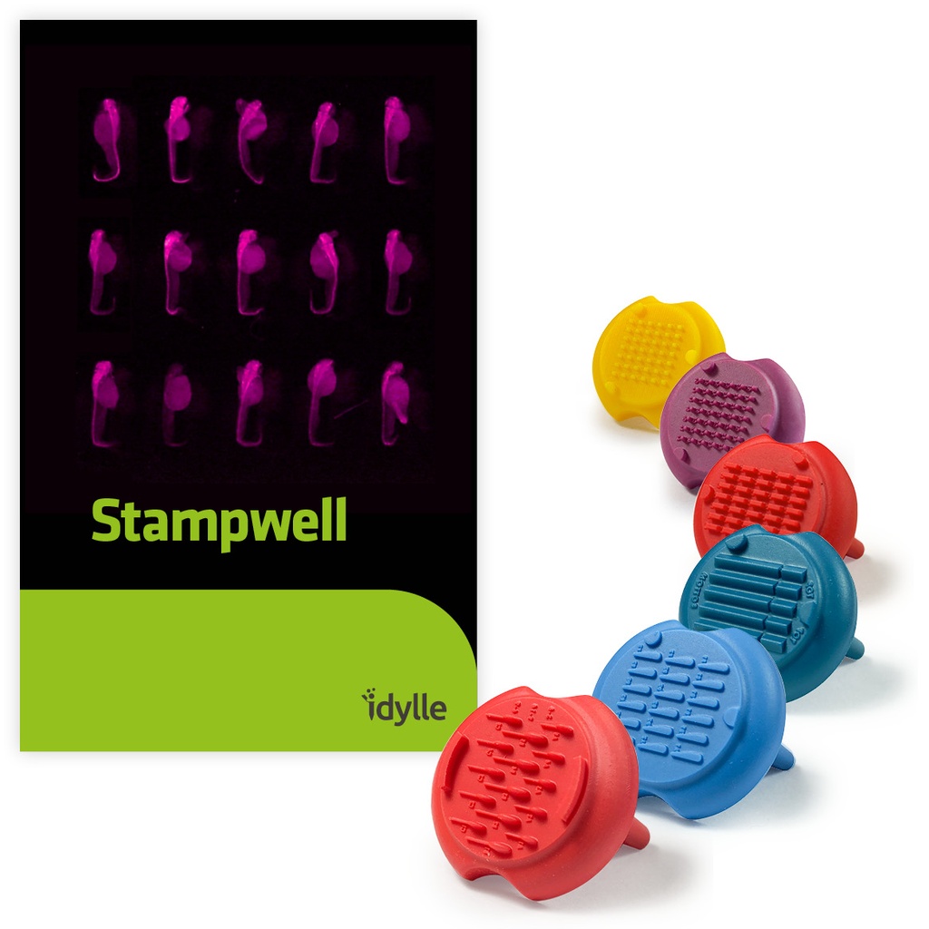 Stampwell-larvae 1 凝膠孔制備（3D細(xì)胞成像）